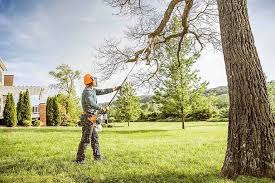  Gilcrest, CO Tree Services Pros